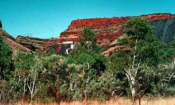 Cliff Face